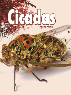 cover image of Cicadas